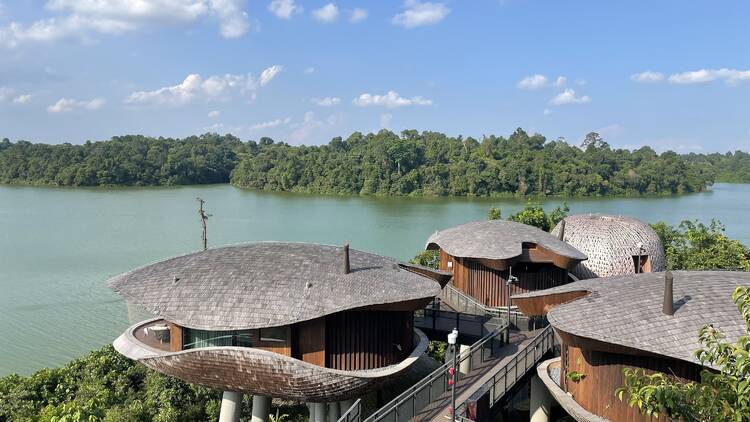 Mandai Rainforest Resort