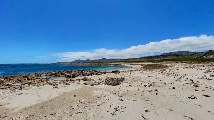 Shipwreck Trail, Cape Point Nature Reserve