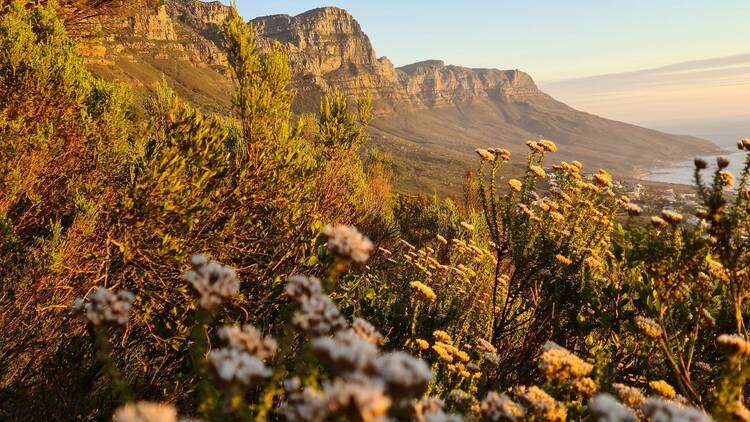 Great outdoors recharge