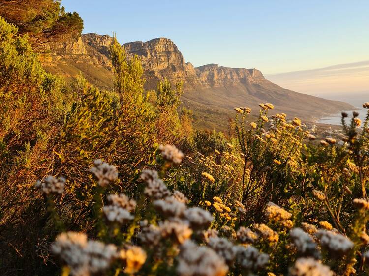 The best day hikes in Cape Town