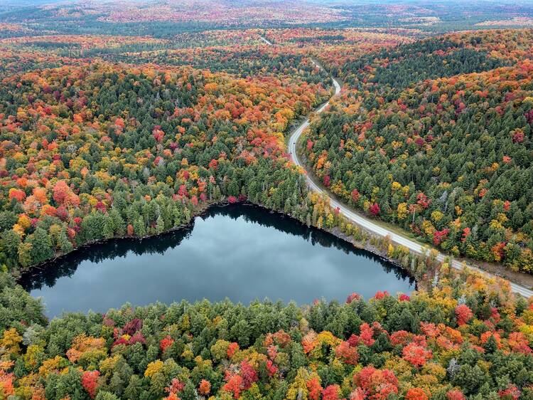 New York State just dropped its annual fall foliage report—here’s when those leaves will be changing near you New York State just dropped its annual fall foliage report—here’s when those leaves will be changing near you