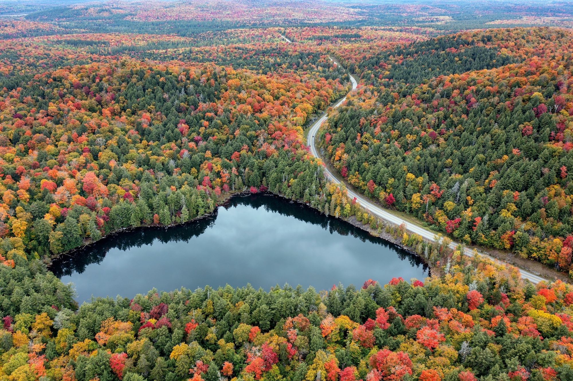 New York State just dropped its annual fall foliage report-here's when those leaves will be changing near you
