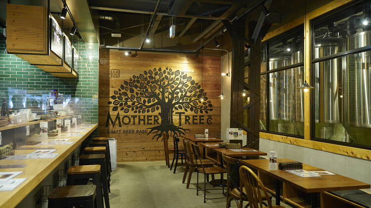 CRAFT BEER BASE MOTHER TREE