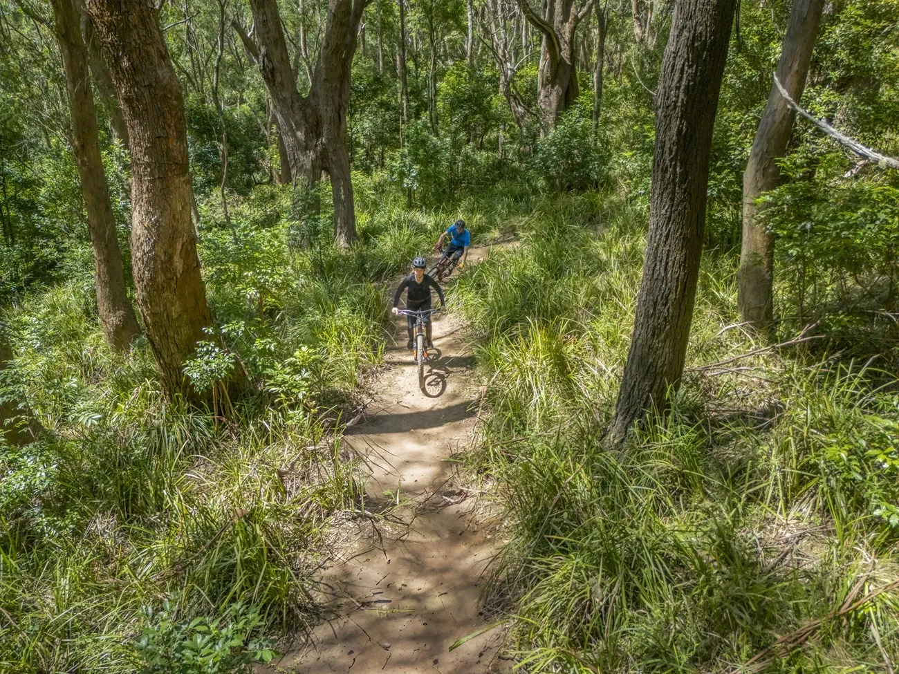 Illawarra Escarpment Mountain Bike Network