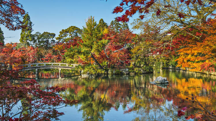 12 most beautiful autumn destinations in Japan for 2025: from Kyoto to Aomori