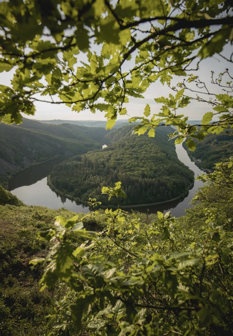  &copy; Niels Meiser.