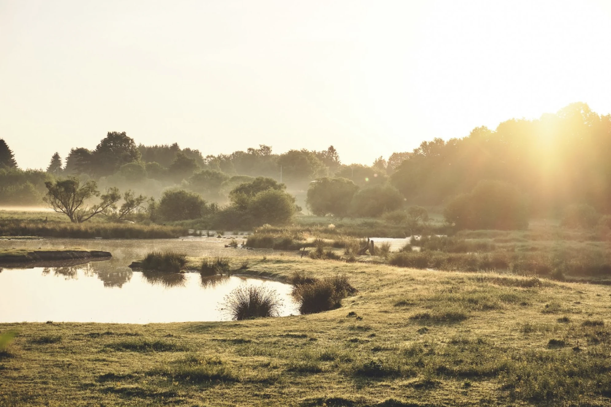 &copy;Raphael Schmatz. 