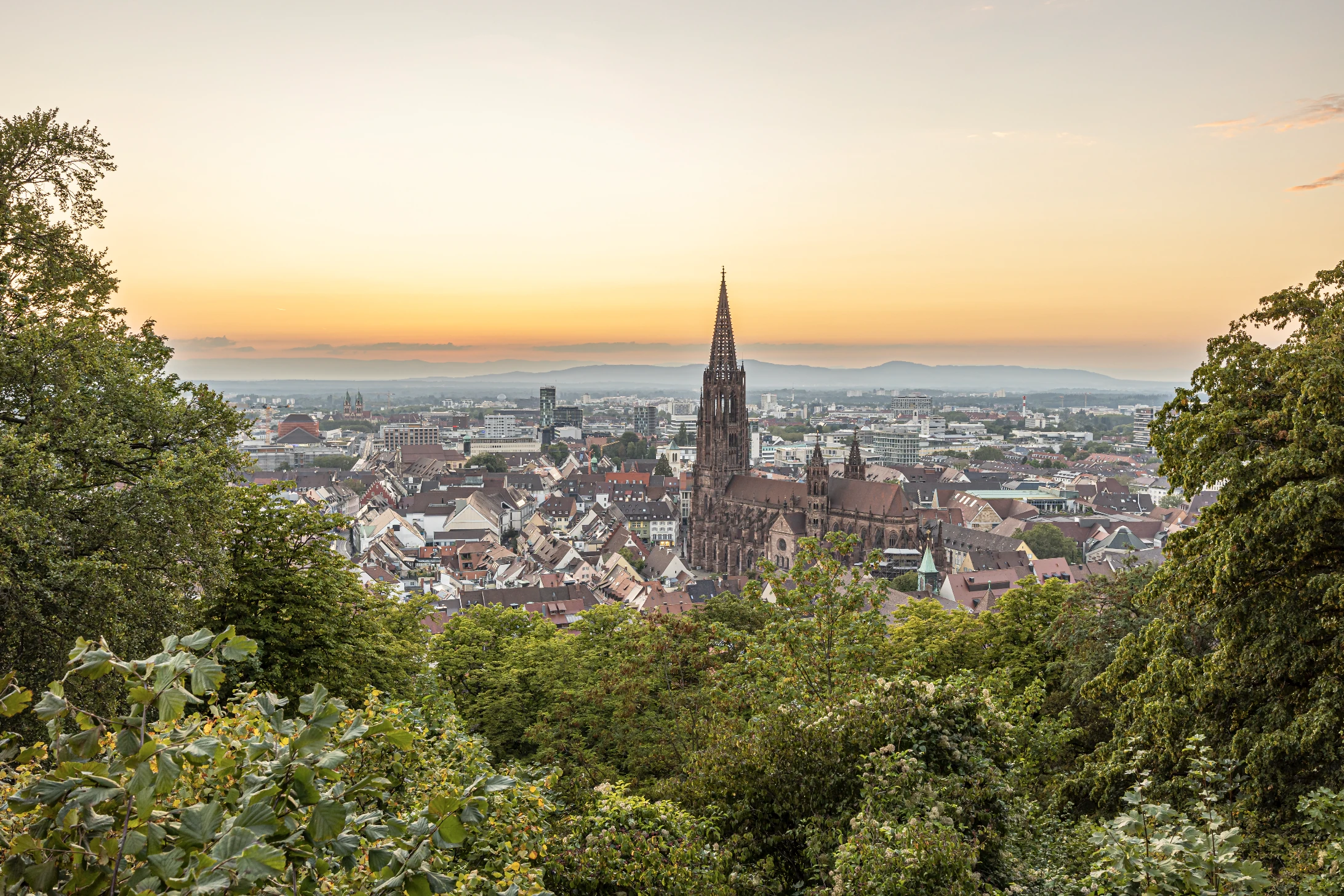 &copy;FWTM &ndash; Spiegelhalter.