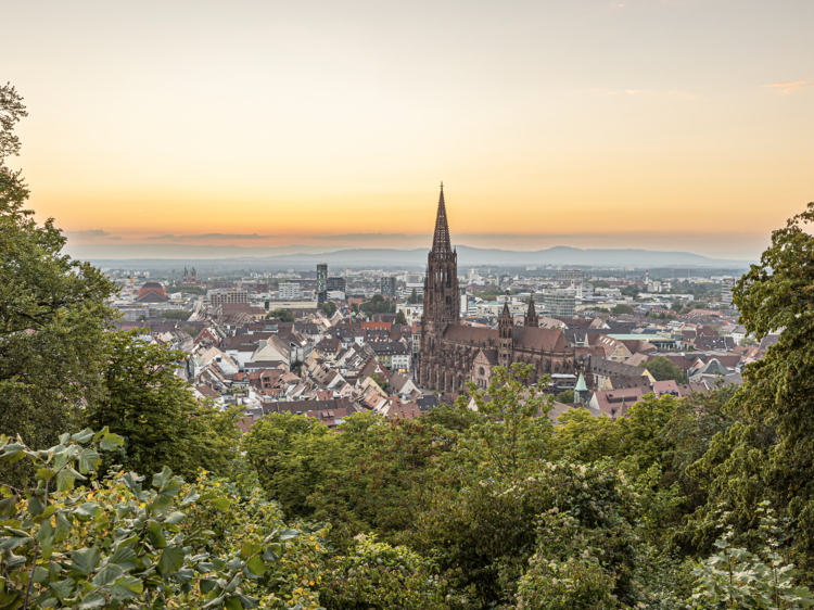 9 étapes enchantées entre la Forêt-Noire, Fribourg-en-Brisgau et Baden-Baden