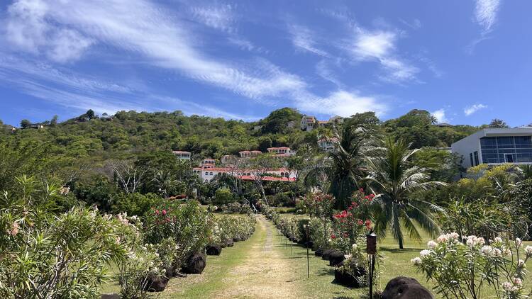 Path from the beach to the resort 
