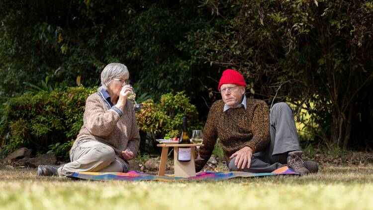 Old couple having picnic