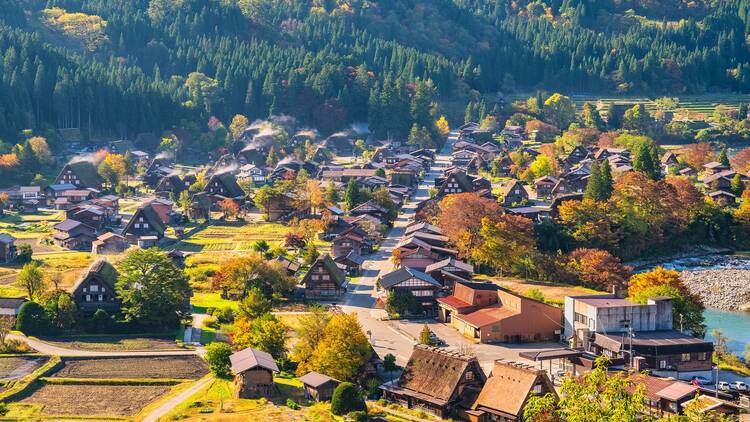 Shirakawago village Gifu Japan, Historical Japanese traditional Gassho house at Shirakawa village in autumn foliage season