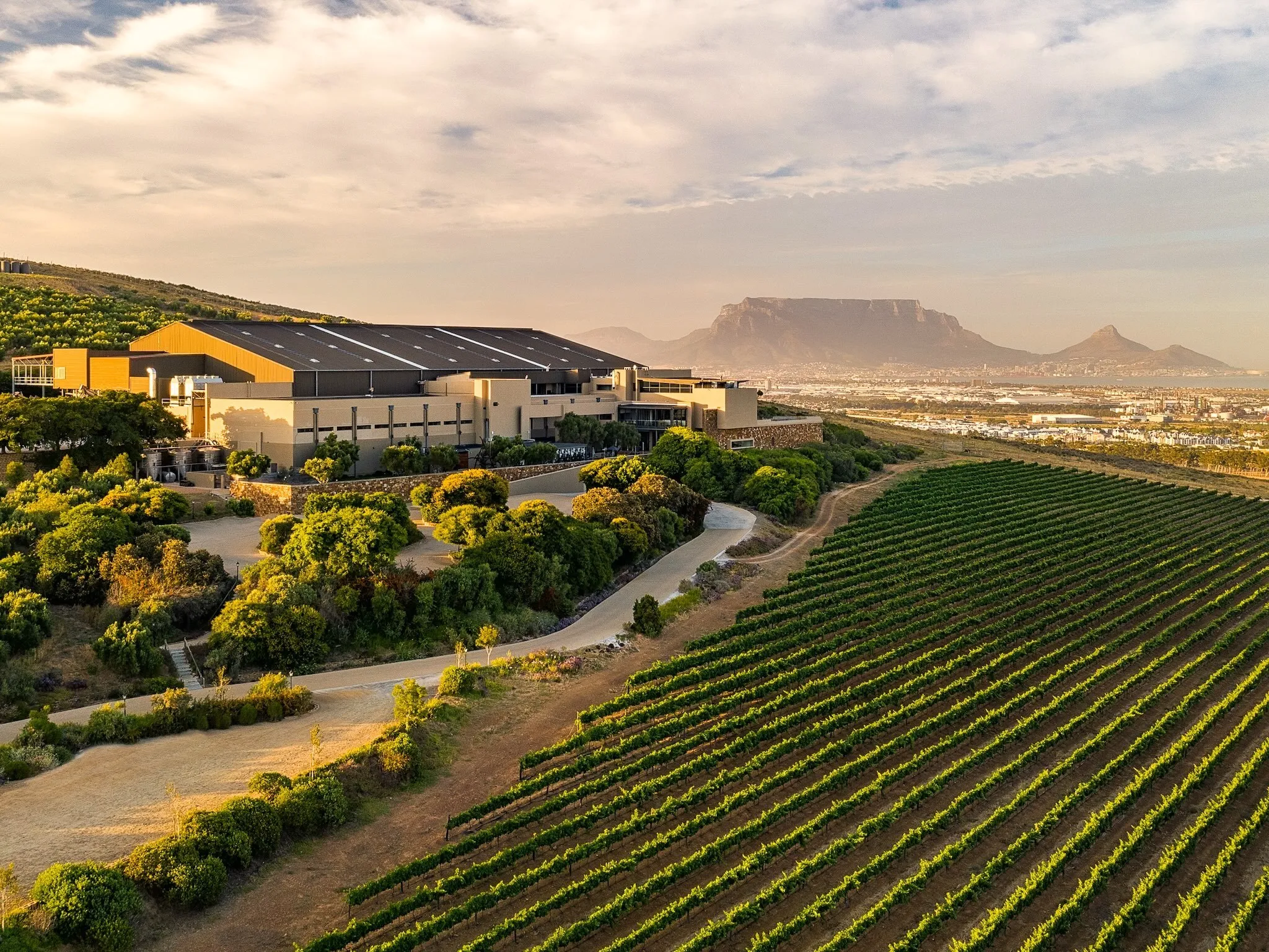Durbanville Hills