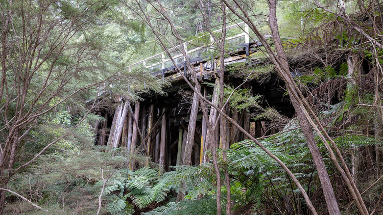 A timber trestle bridge.