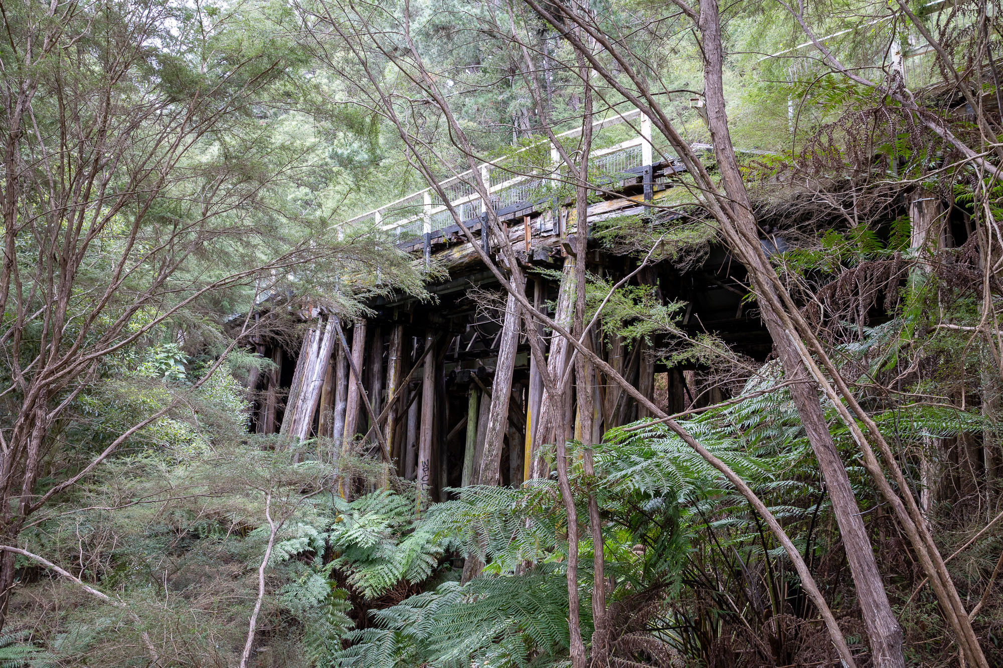 A historic bridge along one of regional Victoria’s best cycling trails will finally reopen