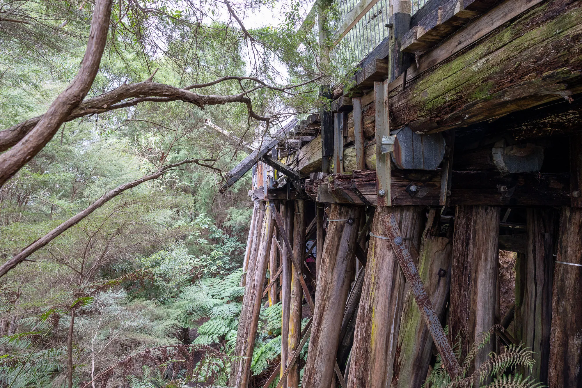 A timber trestle bridge.