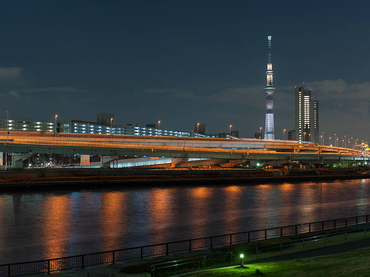 首都高と隅田川とスカイツリーを望む。