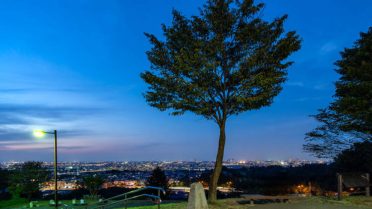 都立桜ヶ丘公園 ゆうひの丘