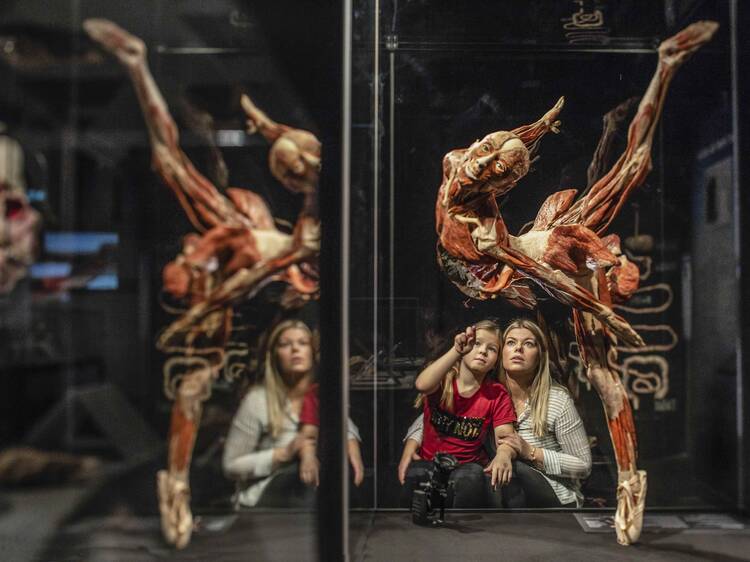 Explore 'Body Worlds: The Anatomy of Happiness'