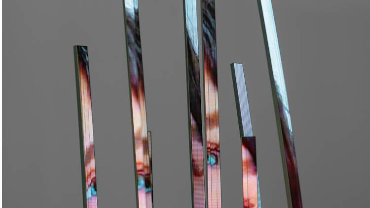 Daniel Canogar 'Grove', 2025