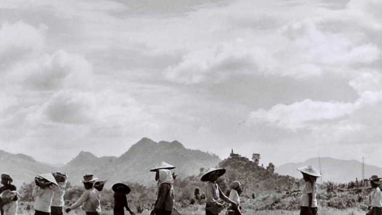 Robert Capa, Ögle Güneş Altında Yürüyen Kadınlar, Nam Dinh Yakınları, Vietnam, Mayıs 1954