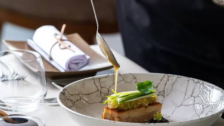 Cyra dish 