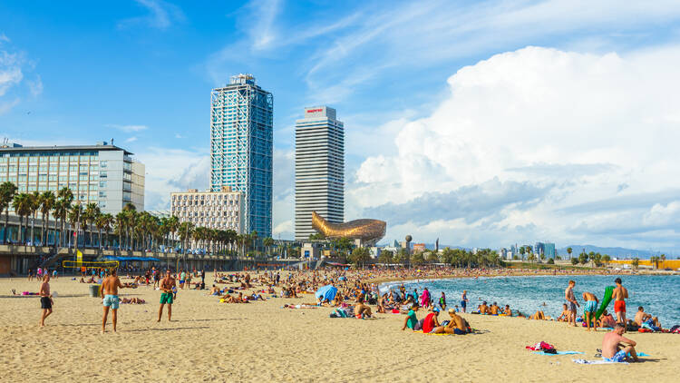 Many tourists and locals enjoying on famous beach in Barcelona, Spain on August 13, 2015. Barcelona is a very popular summer destination for tourists.