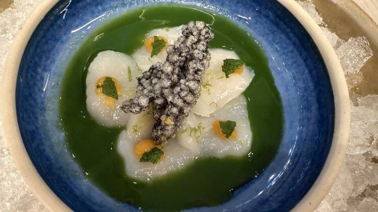 Scallop crudo at Salt & Ash
