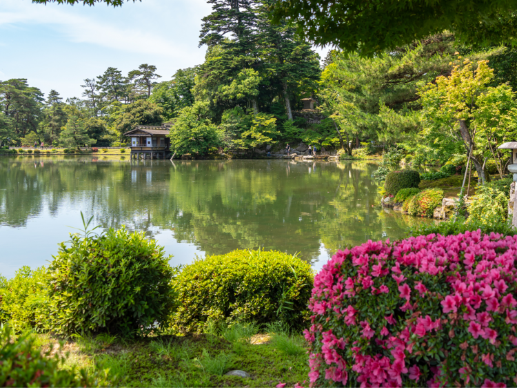 Stroll through the breathtaking Kenrokuen garden