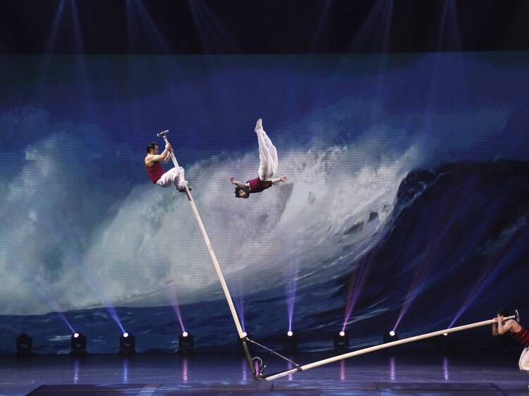 China National Acrobatic Troupe