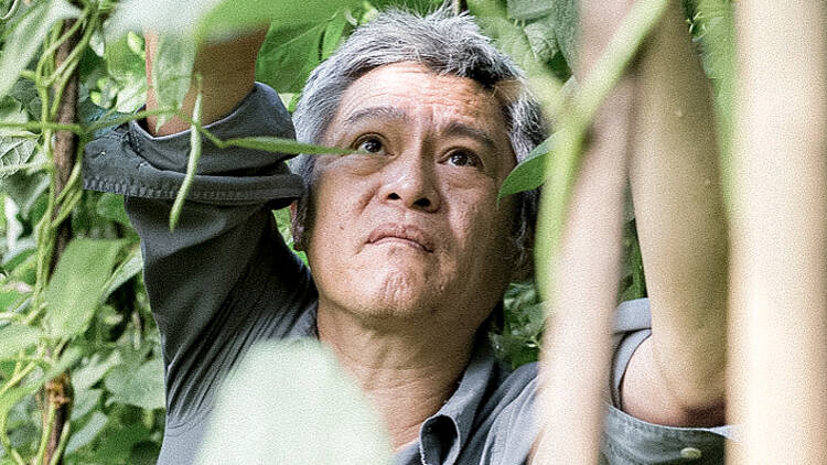 Pete Teo