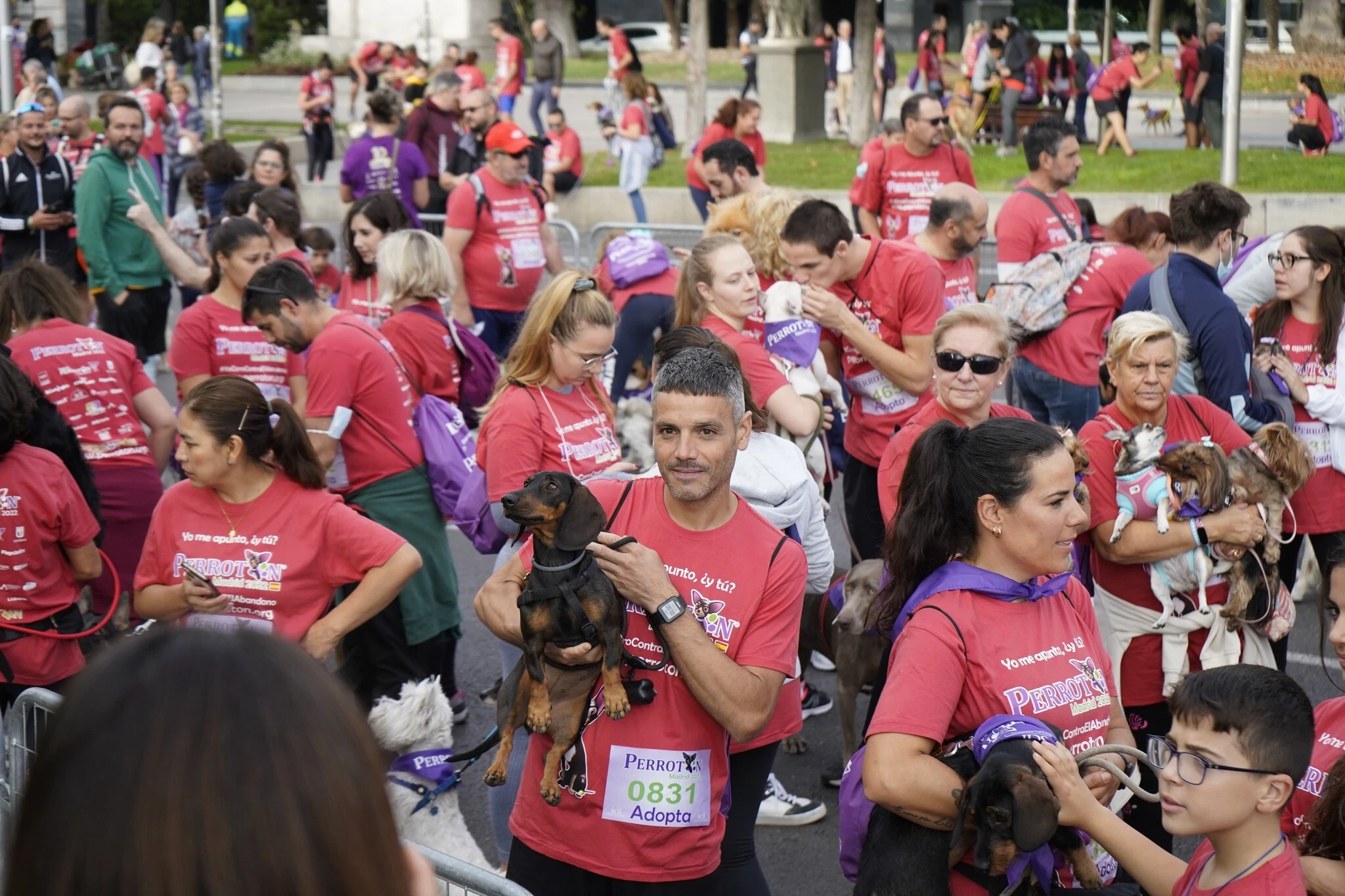 Perrot&oacute;n Espa&ntilde;a