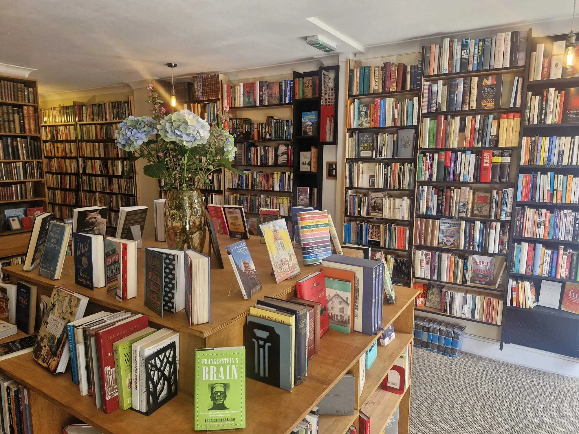 A collection of second hand books on tall shelves and on a big table.
