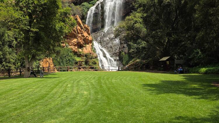 Walter Sisulu National Botanical Garden Walter Sisulu National Botanical Garden