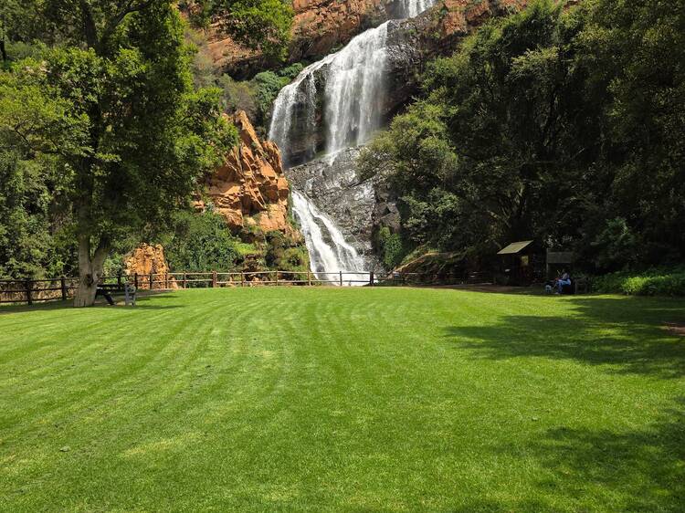 Walter Sisulu National Botanical Garden Walter Sisulu National Botanical Garden
