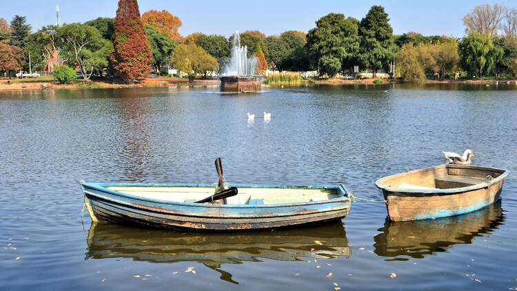 Zoo Lake