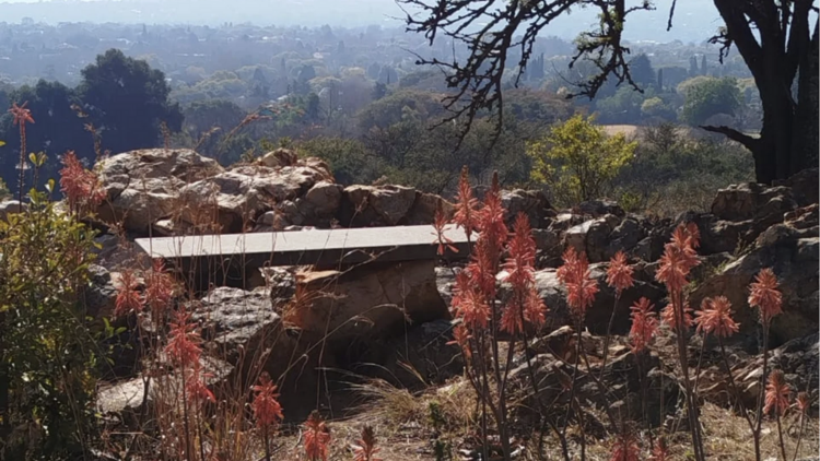 Melville Koppies Nature Reserve
