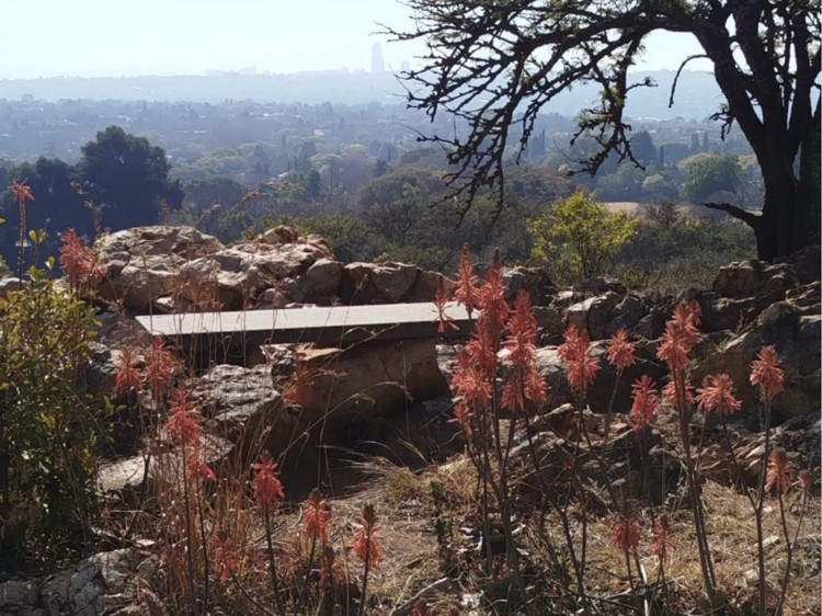 Melville Koppies Nature Reserve