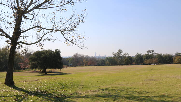 Delta Park