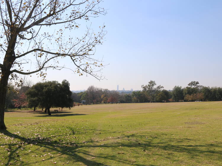 Delta Park