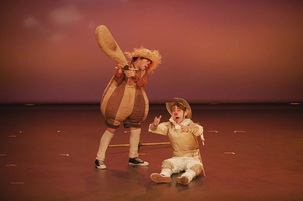 Clown Quijote de la Mancha. Sylvia Vivanco