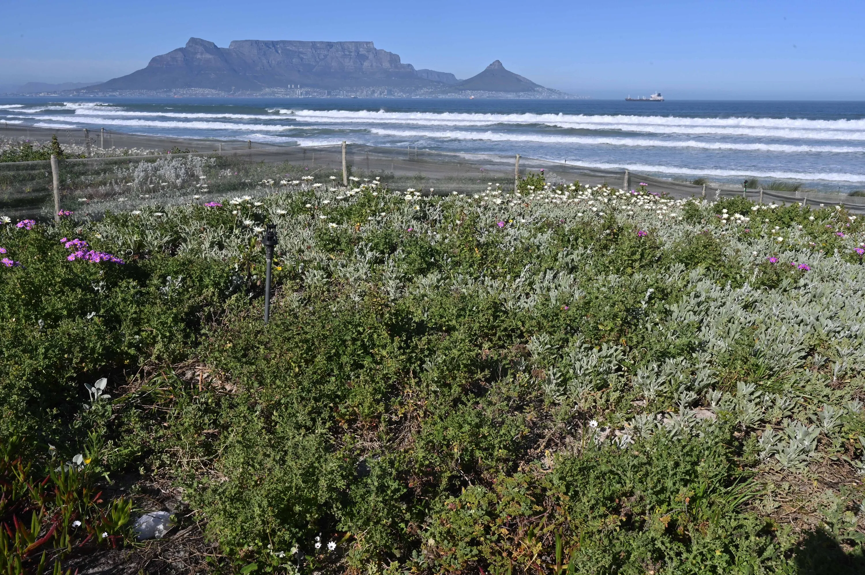 Table View beachfront. City of Cape Town