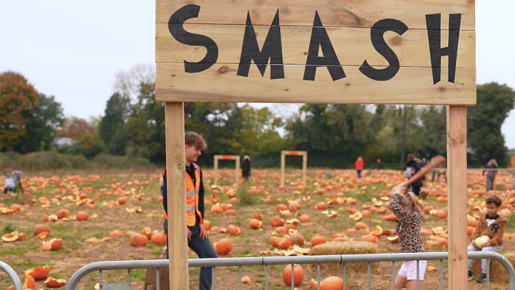 Rogate Pumpkin Patch