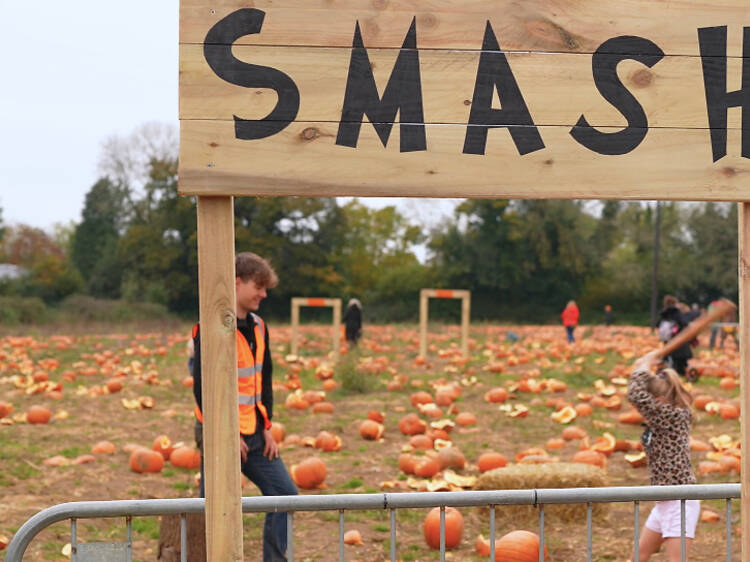 Rogate Pumpkin Patch