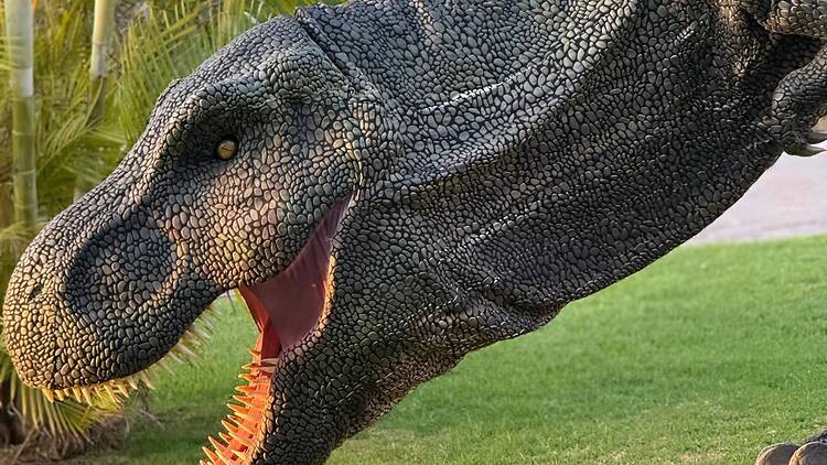 Jurassic Days (Arturo Soria Plaza). Jurassic Days (Arturo Soria Plaza).