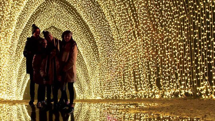 Lightscape at Brooklyn Botanic Garden