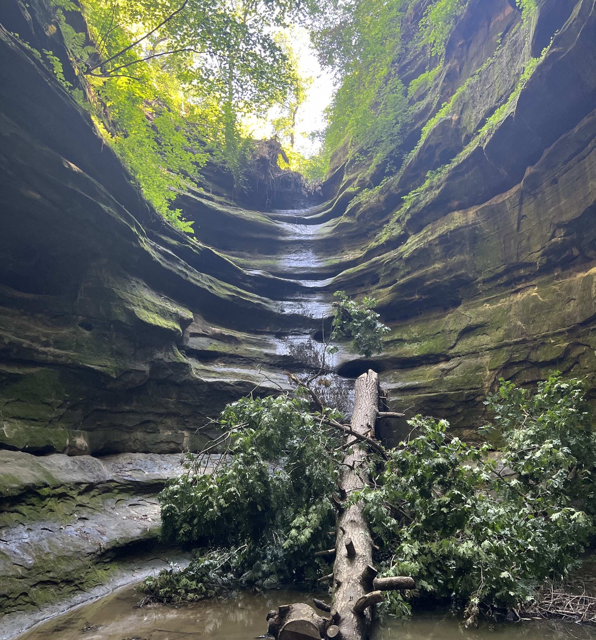 Major upgrades continue at Illinois' second largest state park