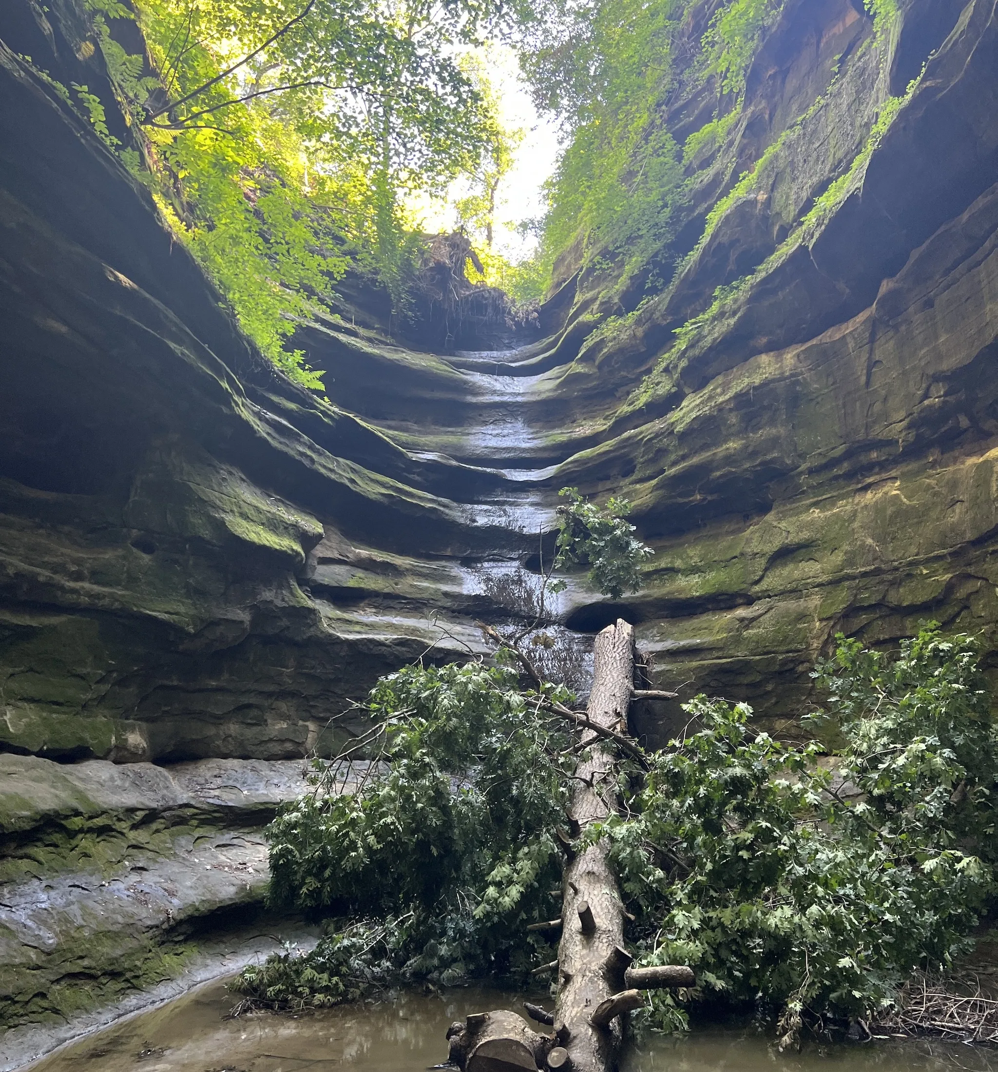A waterfall at Starved Rock State park.
