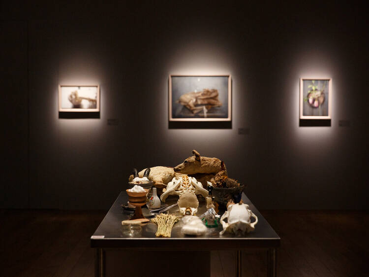 諏訪敦|きみはうつくしい 諏訪敦|きみはうつくしい