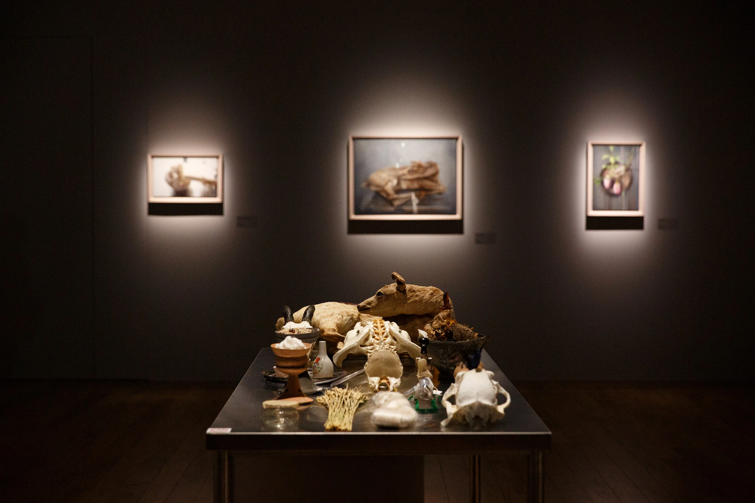 TENNOZ ART WEEK 2025